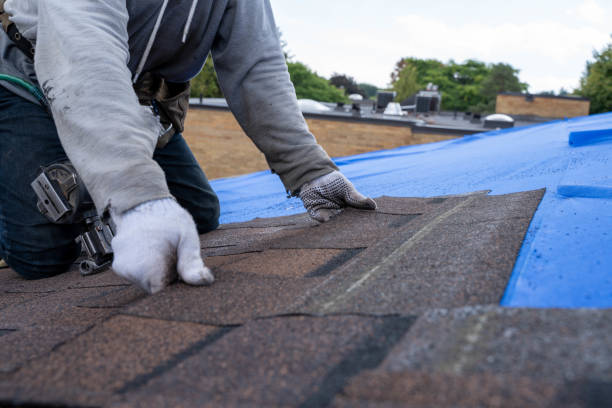 Best Flat Roof Repair Services  in Mayflower Village, CA